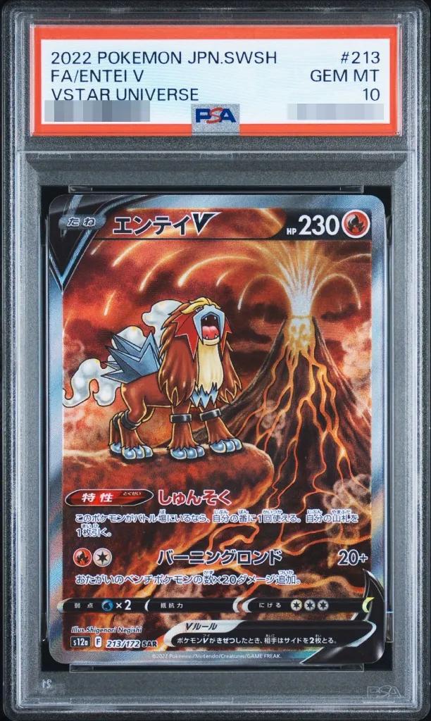 【PSA10鑑定済】エンテイV《SAR》{213/172}[その他]