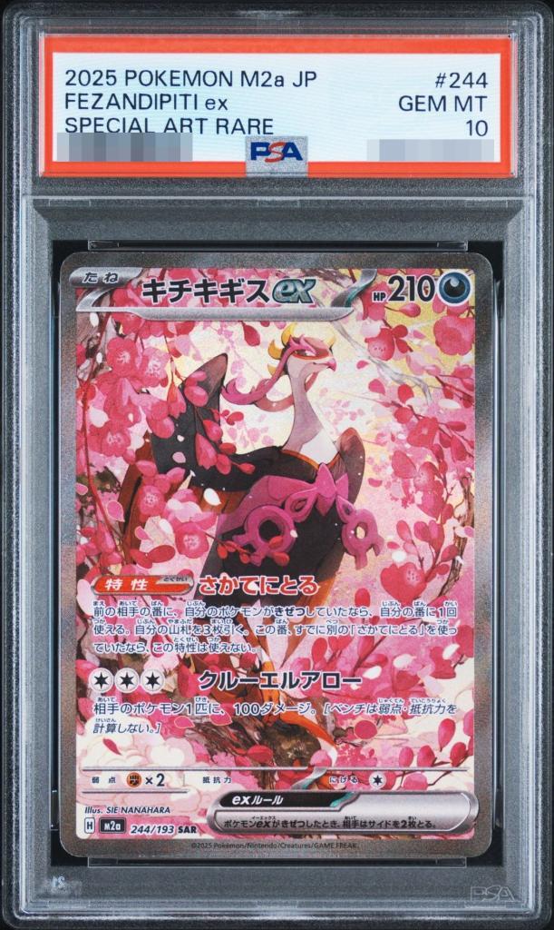 【PSA10鑑定済】キチキギスex《SAR》{244/193}[-]