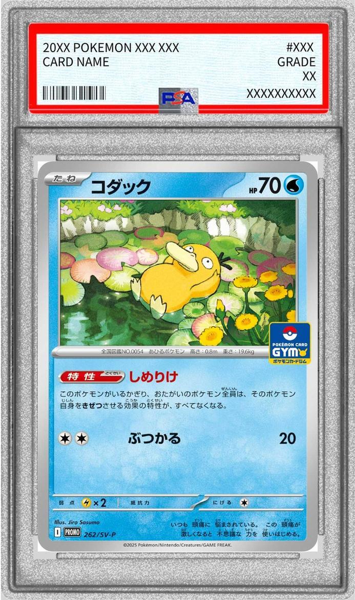 【PSA10鑑定済】コダック《-》{262/SV-P}[-]