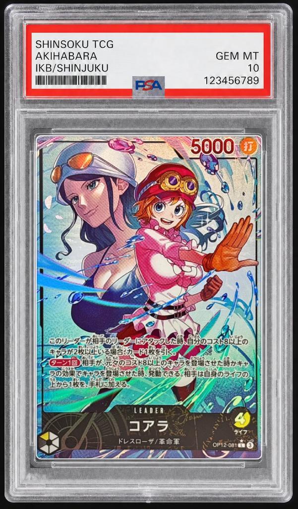 【PSA10鑑定済】コアラ《L》{OP12-081}